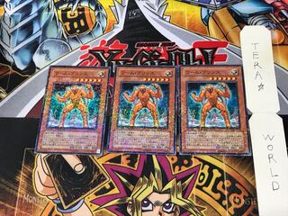 Worm Prince DT04 1 Duel Terminal, set of 3, Tera.