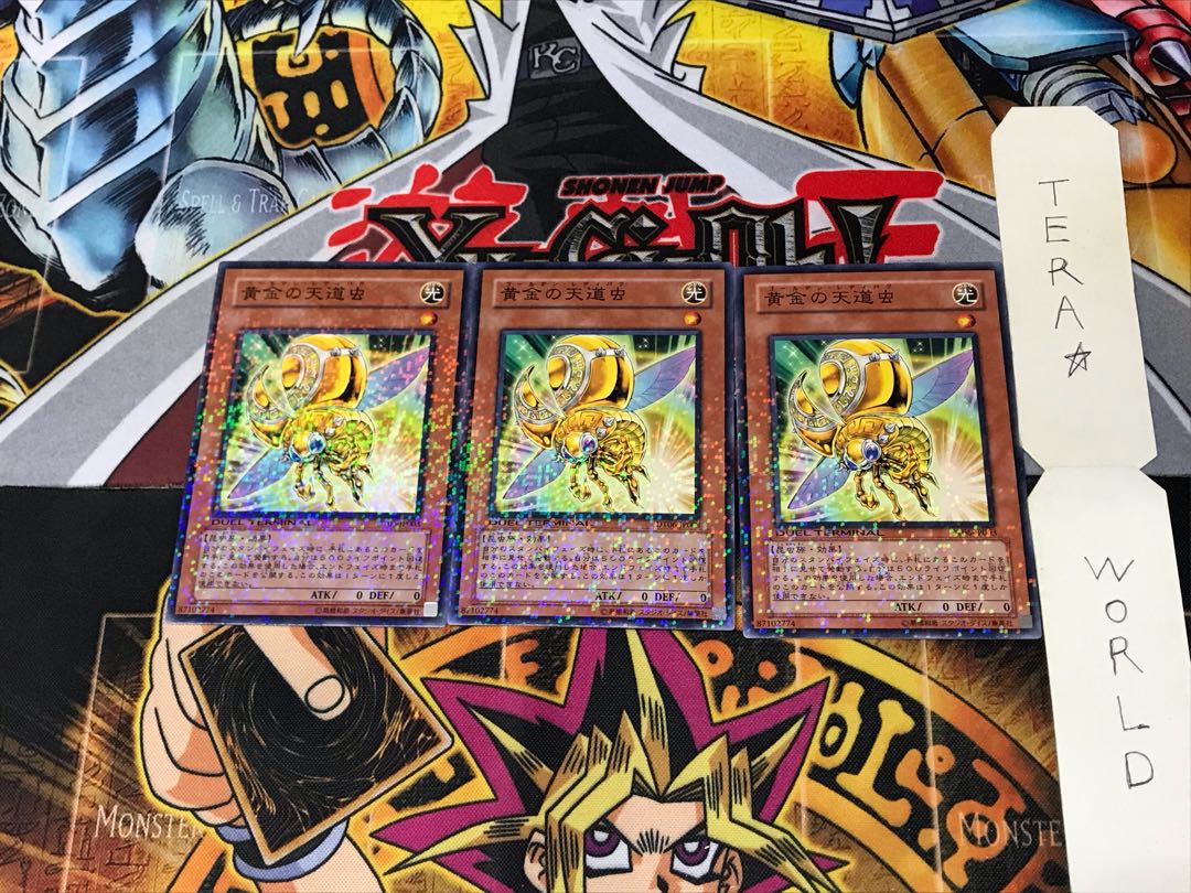 Golden Ladybug DT06 2 Duel Terminal, Set of 3, Tera