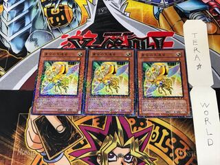 Golden Ladybug DT06 2 Duel Terminal, Set of 3, Tera