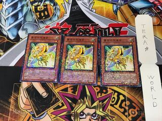 Golden Ladybug DT06 3 Duel Terminal, Set of 3, Tera