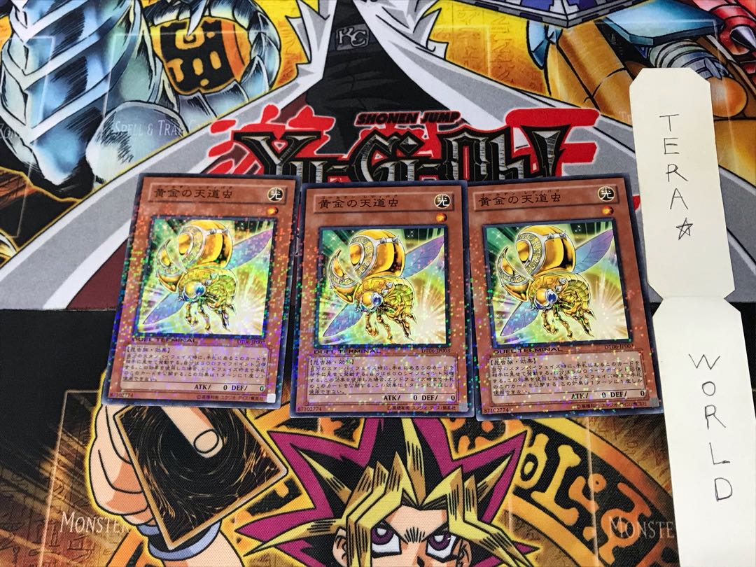 Golden Ladybug DT06 4 Duel Terminal, set of 3, Tera.