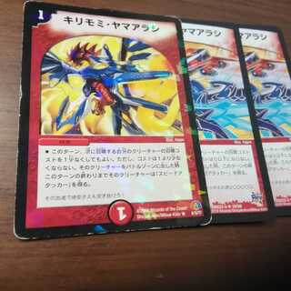 キリモミヤマアラシ