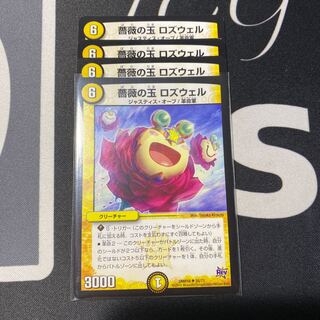 薔薇の玉ロズウェル