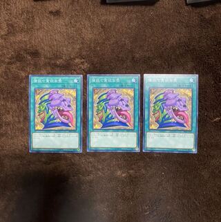 最安値！強欲で貪欲な壺　ノーマル　3枚　セット