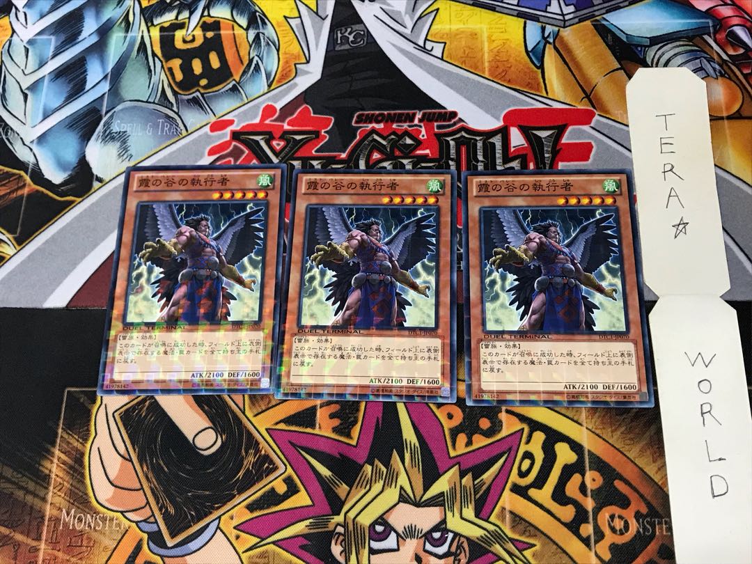 Mist Valley Executor DTC1 3 Duel Terminal, set of 3, Tera.