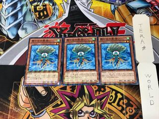 霞の谷の風使い DTC1 2 デュエルターミナル 3枚セット てら