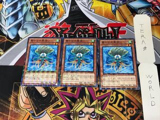 霞の谷の風使い DTC1 3 デュエルターミナル 3枚セット てら