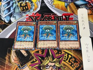 霞の谷の風使い DTC1 4 デュエルターミナル 3枚セット てら