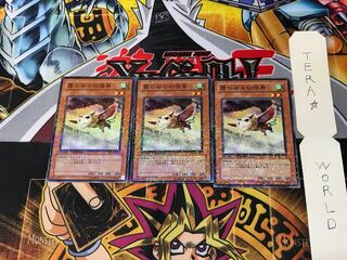 Mist Valley Baby Roc DT03 1 Duel Terminal, set of 3 Tera.