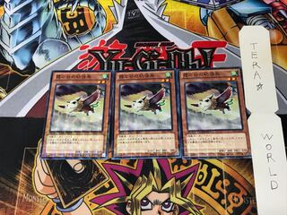 Mist Valley Baby Roc DTC1 1 Duel Terminal, set of 3 Tera.