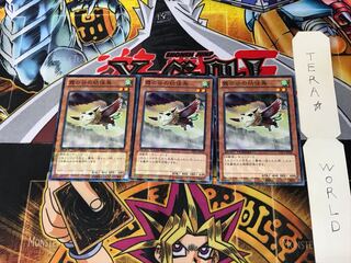 Mist Valley Baby Roc DTC1 2 Duel Terminals Set of 3 Tera