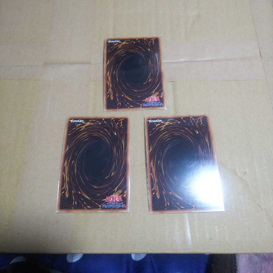 即購入歓迎！ ガーデンローズメイデン 一枚