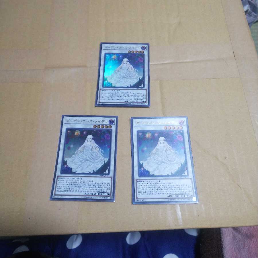 即購入歓迎！ ガーデンローズメイデン 一枚