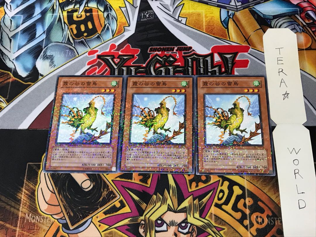 Mist Valley Thunderbird DT01 4 Duel Terminal, set of 3 Tera.