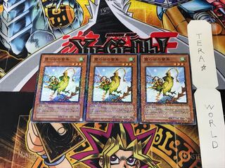 Mist Valley Thunderbird DT01 4 Duel Terminal, set of 3 Tera.