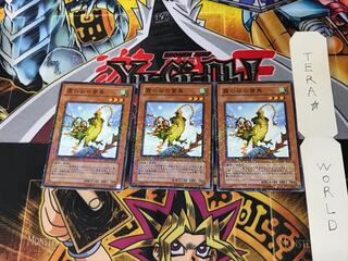 Mist Valley Thunderbird DT01 5 Duel Terminal, set of 3 Tera.