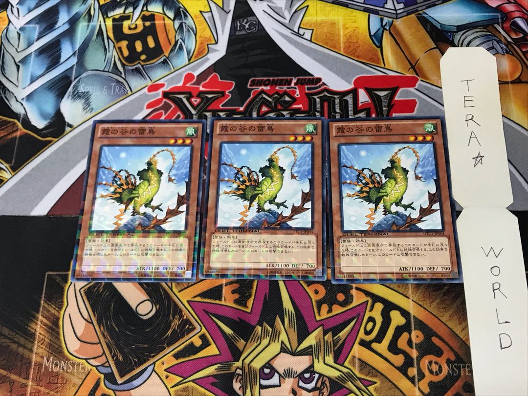 Mist Valley Thunderbird DTC1 1 Duel Terminal, set of 3 Tera.