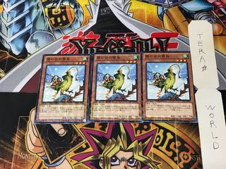 Mist Valley Thunderbird DTC1 2 Duel Terminal, set of 3 Tera.