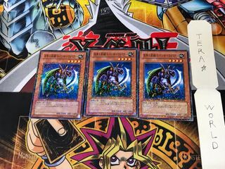 Panther Warrior DT04 2 Duel Terminal, set of 3, Tera.