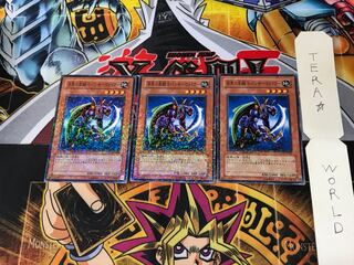 Panther Warrior DT04 3 Duel Terminal, set of 3, Tera.