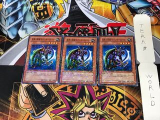 Panther Warrior DT04 4 Duel Terminal, set of 3, Tera.