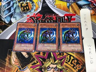 Panther Warrior DT04 5 Duel Terminal, set of 3, Tera.