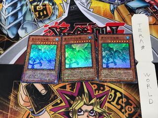 青氷の白夜龍 DT07 3 デュエルターミナル 3枚セット てら