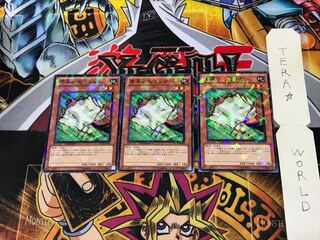 Nimble Momonga DT09 1 Duel Terminal, set of 3 Tera