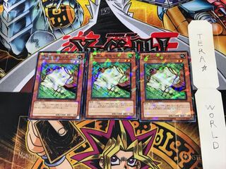 Nimble Momonga DT09 2 Duel Terminal, set of 3 Tera