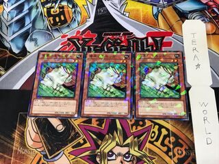 Nimble Momonga DT09 3 Duel Terminal, Set of 3, Tera