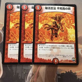 爆流忍法　不死鳥の術