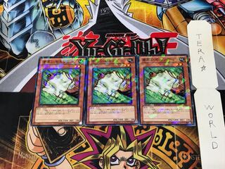 Nimble Momonga DT09 5 Duel Terminal, set of 3 Tera