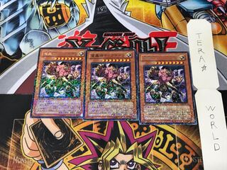 魔轟神ディアネイラ DT08 1 デュエルターミナル 3枚セット てら