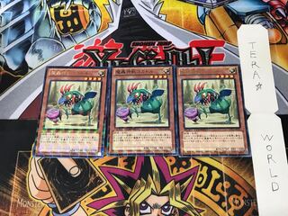 魔轟神獣コカトル DTC3 1 デュエルターミナル 3枚セット てら