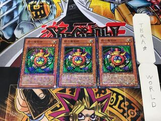 Time Wizard DT05 1 Duel Terminal, set of 3, Tera.