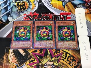 Time Wizard DT05 5 Duel Terminal, set of 3, Tera.