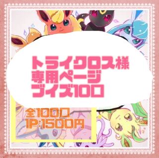 トライクロス様専用ページ