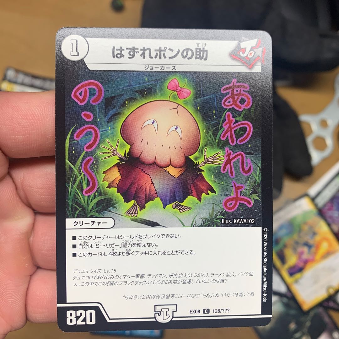 out-of-place son-in-law