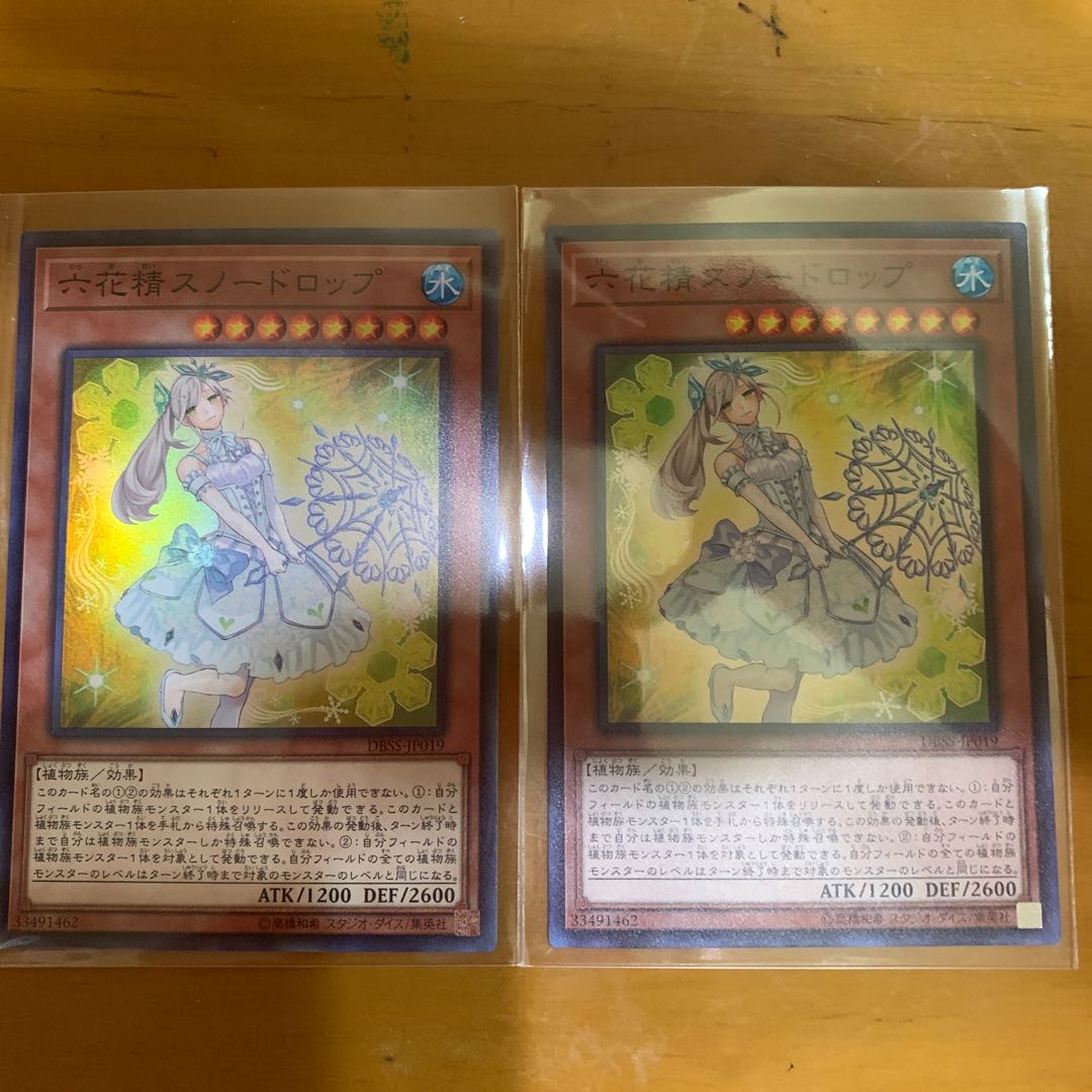 DBSS 立花精スノードロップ2枚セット