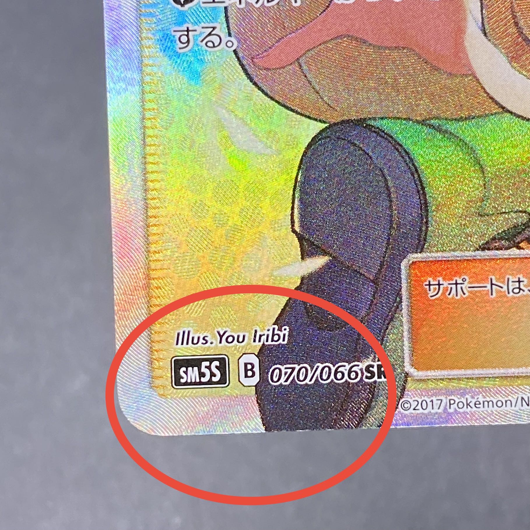 ナタネ SR 070/066