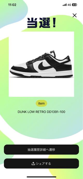 Nike Dunk Low Retro Ho Wight/Black Wight DD1391-100 24cm