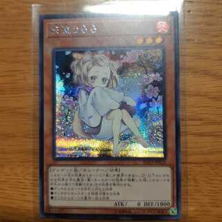 はるうらら　灰流うらら