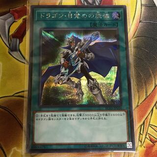 ドラゴン・目覚めの旋律 シークレット