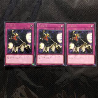 大捕り物3枚セット