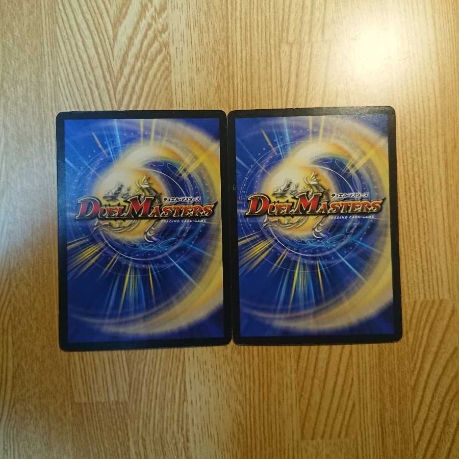 異端流し オニカマス 2枚