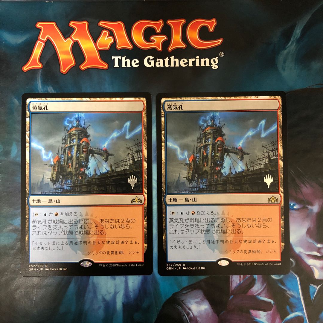 MTG Steam Vents Set of 2