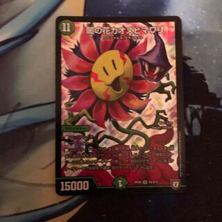 闇の花カオスヒマワリ 1枚