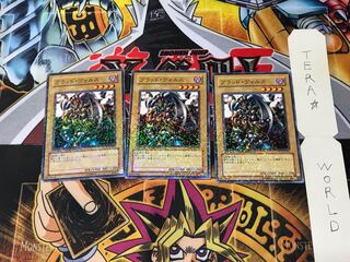 Vorse Raider DT05 1 Duel Terminal, set of 3 Tera.