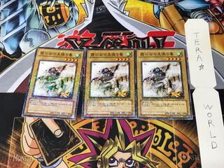 Mist Valley Watcher DT02 3 Dueling Terminals, set of 3, Tera.