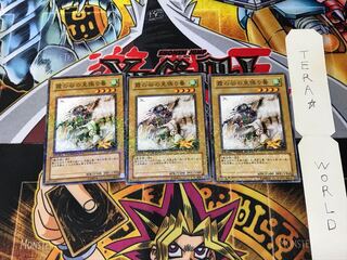 Mist Valley Watcher DT02 5 Duel Terminal, set of 3 Tera.